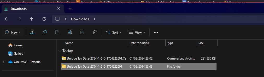 Extracted Folder in File Explorer
